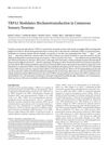 TRPA1 Modulates Mechanotransduction in Cutaneous Sensory Neurons