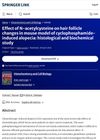 Effect of N-acetylcysteine on hair follicle changes in mouse model of cyclophosphamide-induced alopecia: histological and biochemical study