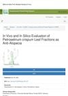 In Vivo and In Silico Evaluation of Petroselinum Crispum Leaf Fractions as Anti-Alopecia