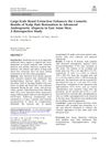 Large-Scale Beard Extraction Enhances the Cosmetic Results of Scalp Hair Restoration in Advanced Androgenetic Alopecia in East Asian Men: A Retrospective Study