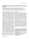 Fractional resurfacing in the Asian patient: Current state of the art