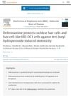 Deferoxamine protects cochlear hair cells and hair cell-like HEI-OC1 cells against tert-butyl hydroperoxide-induced ototoxicity