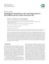 Morphogenetic Mechanisms in the Cyclic Regeneration of Hair Follicles and Deer Antlers from Stem Cells