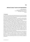 Adrenal Cortex Tumors and Hyperplasias