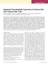 Regulated Proenkephalin Expression in Human Skin and Cultured Skin Cells