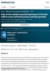 Role of the soluble epoxide hydrolase in the hair follicle stem cell homeostasis and hair growth
