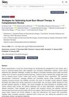 Strategies for Optimizing Acute Burn Wound Therapy: A Comprehensive Review