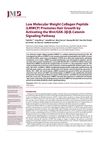 Low Molecular Weight Collagen Peptide (LMWCP) Promotes Hair Growth by Activating the Wnt/GSK-3β/β-Catenin Signaling Pathway