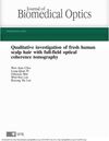 Qualitative investigation of fresh human scalp hair with full-field optical coherence tomography