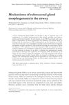 Mechanisms of Submucosal Gland Morphogenesis in the Airway