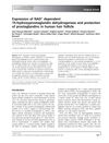 Expression of NAD+-Dependent 15-Hydroxyprostaglandin Dehydrogenase and Protection of Prostaglandins in Human Hair Follicle