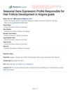 Seasonal Gene Expression Profile Responsible for Hair Follicle Development in Angora goats