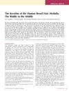 The Keratins of the Human Beard Hair Medulla: The Riddle in the Middle
