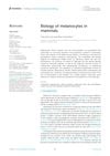 Biology of melanocytes in mammals