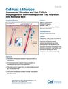 Commensal Microbes and Hair Follicle Morphogenesis Coordinately Drive Treg Migration into Neonatal Skin