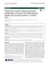 TGFβ family mimetic peptide promotes proliferation of human hair follicle dermal papilla cells and hair growth in C57BL/6 mice