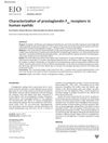 Characterization of Prostaglandin F2α Receptors in Human Eyelids