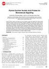 Pyrene Excimer Nucleic Acid Probes for Biomolecule Signaling