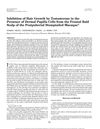 Inhibition of Hair Growth by Testosterone in the Presence of Dermal Papilla Cells from the Frontal Bald Scalp of the Postpubertal Stumptailed Macaque<sup>1</sup>
