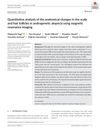 Quantitative Analysis of the Anatomical Changes in the Scalp and Hair Follicles in Androgenetic Alopecia Using Magnetic Resonance Imaging