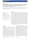 Antiandrogenic Activities of Glycyrrhiza Glabra in Male Rats