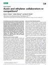 Auxin and ethylene: collaborators or competitors?