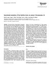 Insertional Mutation of the Hairless Locus on Mouse Chromosome 14