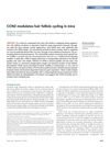 CCN2 modulates hair follicle cycling in mice