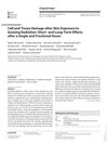 Cell and Tissue Damage After Skin Exposure to Ionizing Radiation: Short- and Long-Term Effects After Single and Fractional Doses