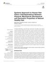 Systems Approach to Human Hair Fibers: Interdependence Between Physical, Mechanical, Biochemical and Geometric Properties of Natural Healthy Hair