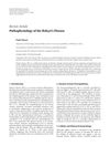 Pathophysiology of the Behçet's Disease