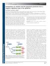 Commentary on: Hairless and the polyamine putrescine form a negative regulatory loop in the epidermis