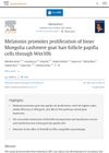 Melatonin promotes proliferation of Inner Mongolia cashmere goat hair follicle papilla cells through Wnt10b