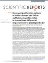 Divergent proliferation patterns of distinct human hair follicle epithelial progenitor niches in situ and their differential responsiveness to prostaglandin D2