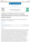 Inhibition of CISD1 attenuates cisplatin-induced hearing loss in mice via the PI3K and MAPK pathways