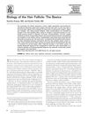 Biology of the Hair Follicle: The Basics