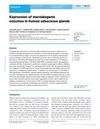 Expression of steroidogenic enzymes in human sebaceous glands