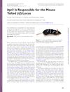 Itpr3 Is Responsible for the Mouse Tufted (tf) Locus