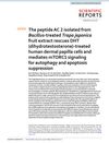 The peptide AC 2 isolated from Bacillus-treated Trapa japonica fruit extract rescues DHT (dihydrotestosterone)-treated human dermal papilla cells and mediates mTORC1 signaling for autophagy and apoptosis suppression