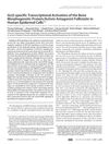 GLI2-specific Transcriptional Activation of the Bone Morphogenetic Protein/Activin Antagonist Follistatin in Human Epidermal Cells