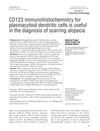 CD123 immunohistochemistry for plasmacytoid dendritic cells is useful in the diagnosis of scarring alopecia