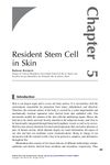 Resident Stem Cell in Skin