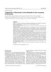 Comparison of finasteride versus flutamide in the treatment of hirsutism