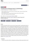The Mechanism of Androgen Actions in PCOS Etiology