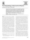 The Histopathology of Noncicatricial Alopecia