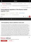 Transcriptional Regulation of the Thymus Master Regulator Foxn1