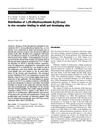 Distribution of 1,25-dihydroxyvitamin D3[22-oxa] in vivo receptor binding in adult and developing skin