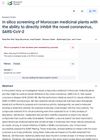 In silico screening of Moroccan medicinal plants with the ability to directly inhibit the novel coronavirus, SARS-CoV-2