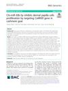 Chi-miR-30b-5p inhibits dermal papilla cells proliferation by targeting CaMKIIδ gene in cashmere goat