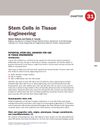 Stem Cells in Tissue Engineering